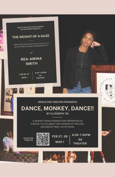 Dance Monkey Dance poster